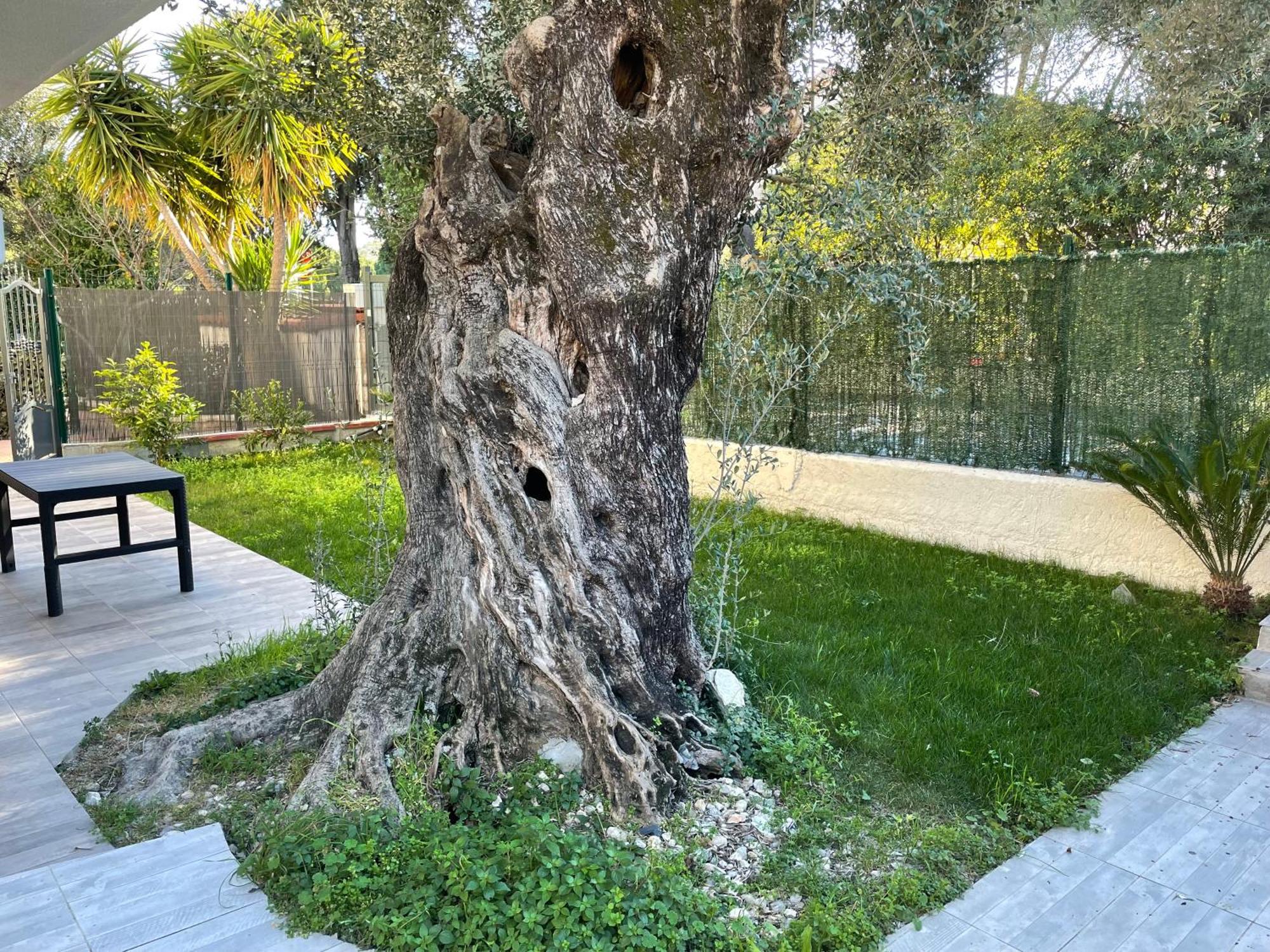 Joli Rez De Jardin 4 Pieces A Cagnes Sur Mer Экстерьер фото